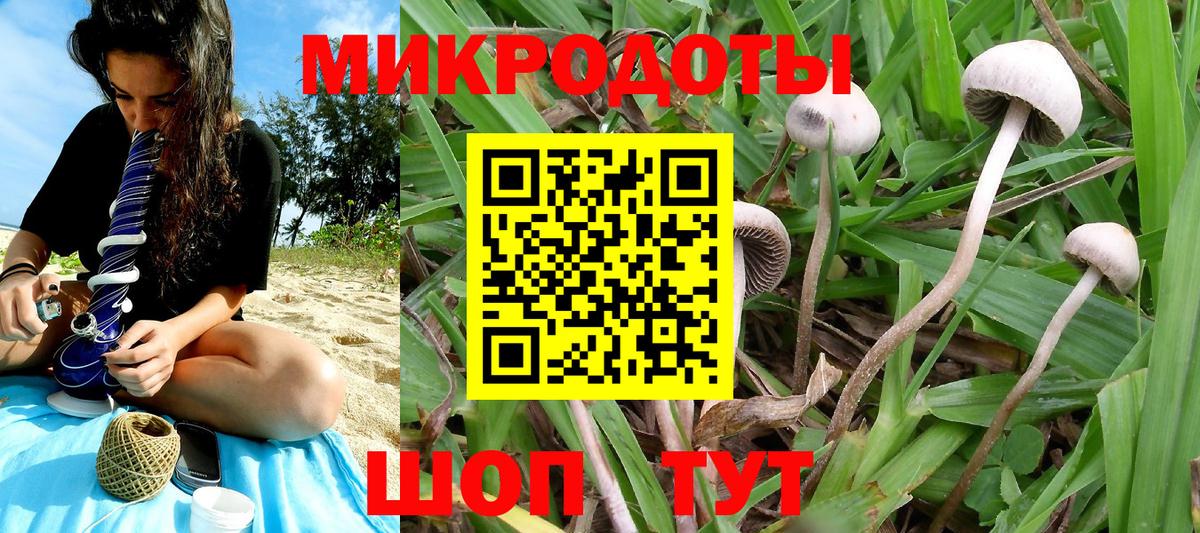 Галлюциногенные грибы прущие грибы Минусинск