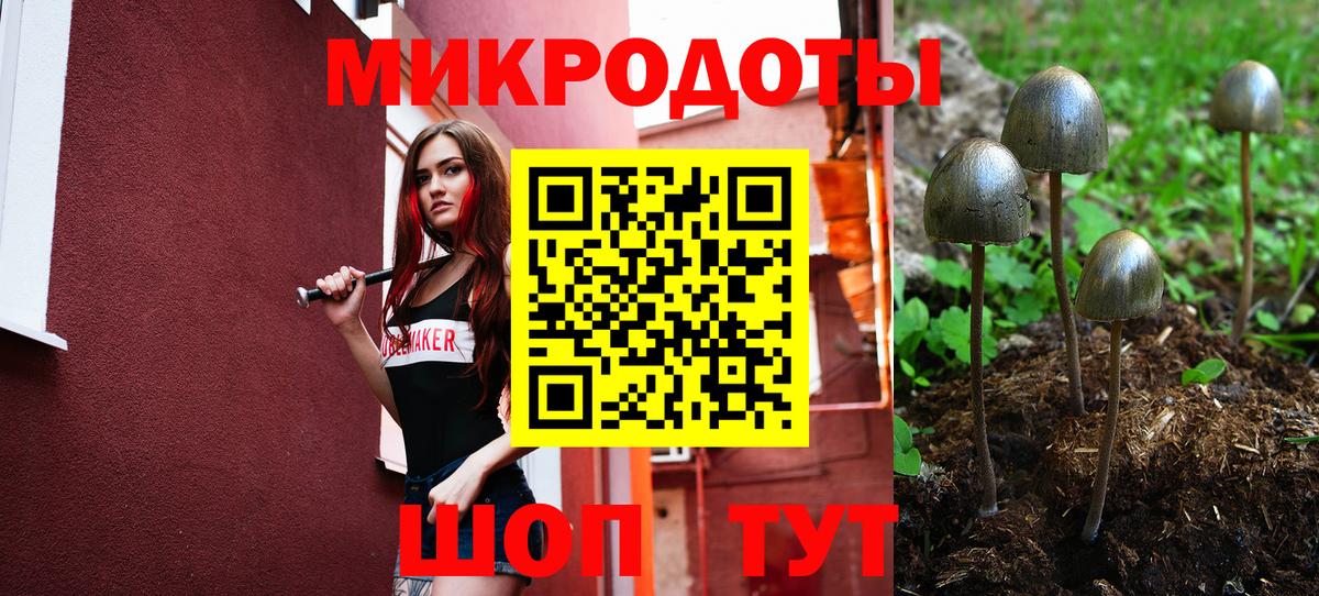 Минусинск  Псилоцибиновые грибы прущие грибы  Вход с VPN 